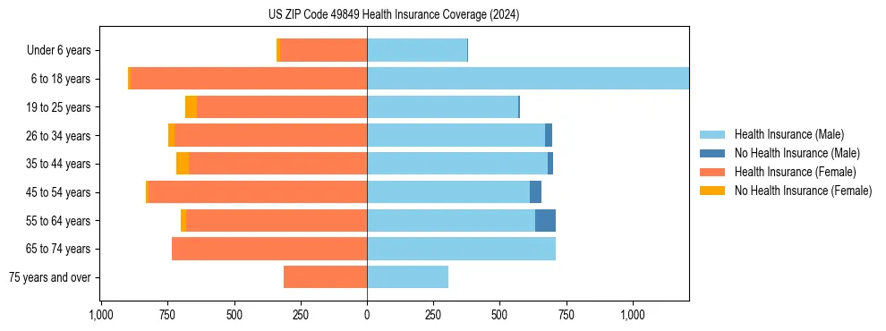 Health insurance pyramid for US ZIP Code 49849