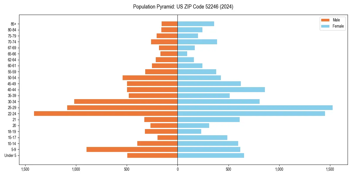 Population pyramid for 