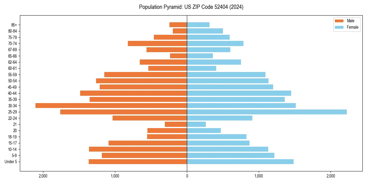 Population pyramid for 