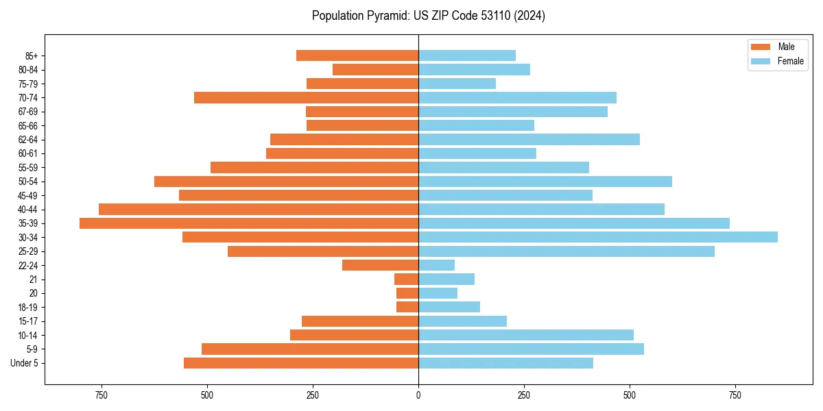 Population pyramid for 