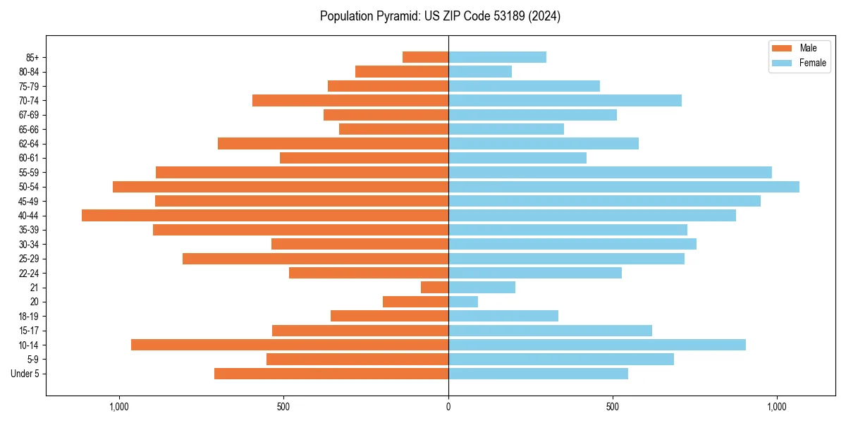 Population pyramid for 