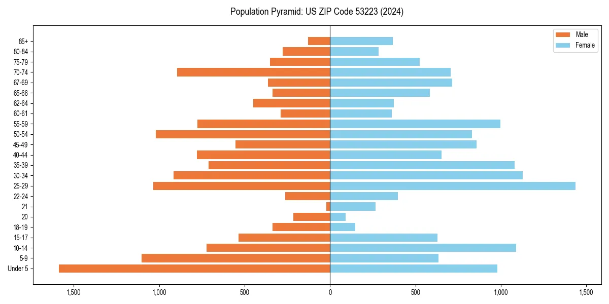 Population pyramid for 