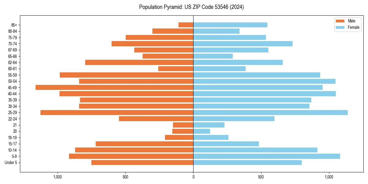 Population pyramid for 