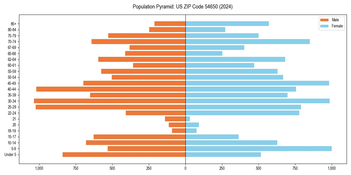 Population pyramid for 