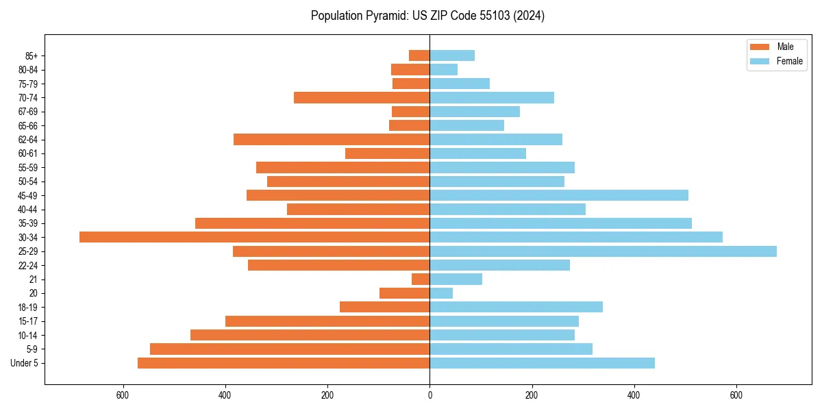Population pyramid for 