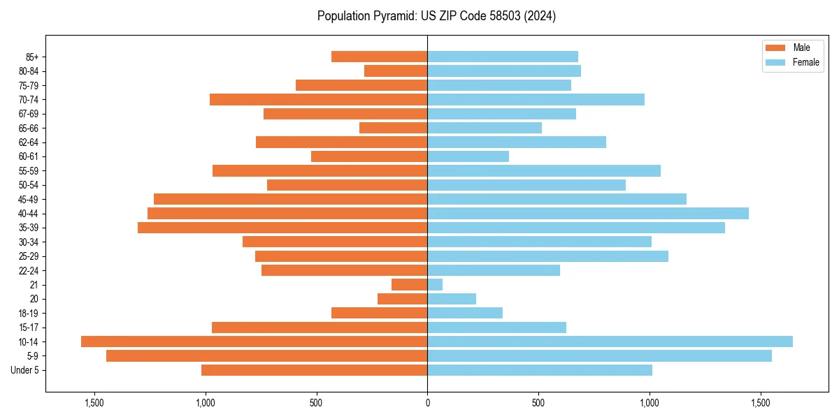 Population pyramid for 