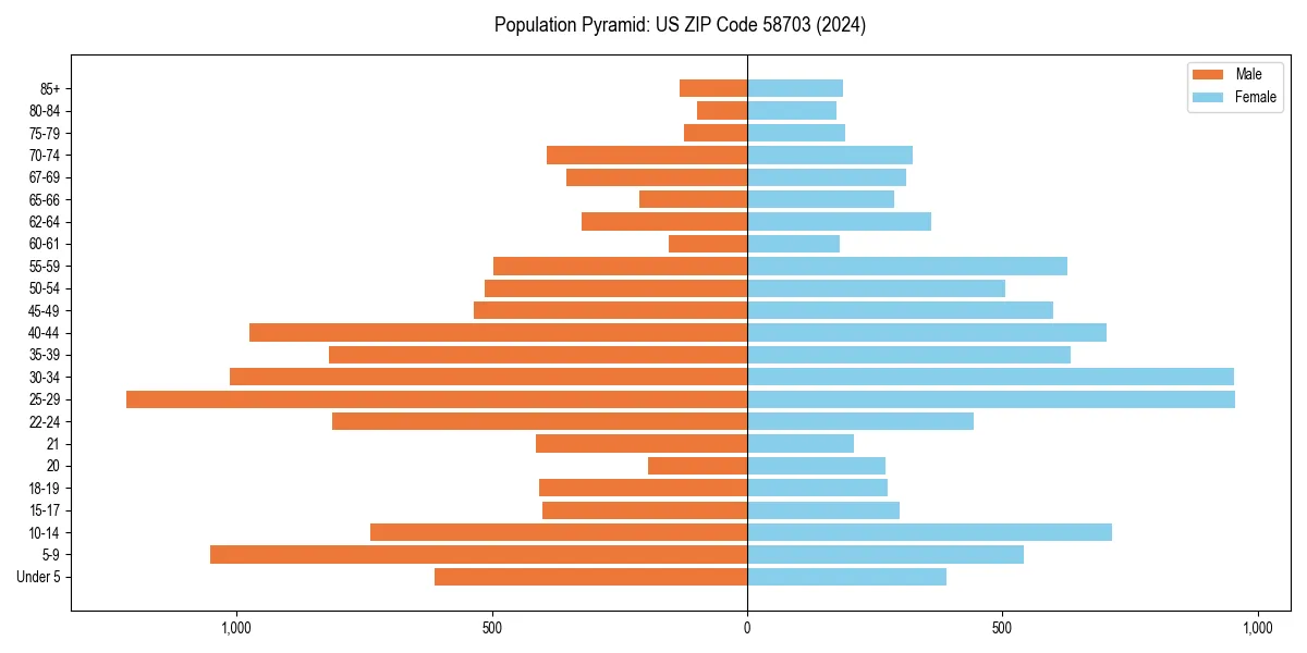 Population pyramid for 