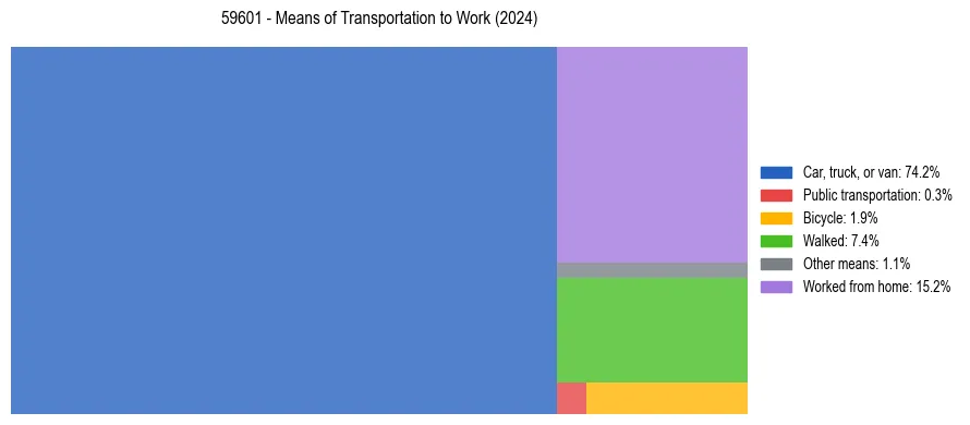 Commute modes in US ZIP Code 59601