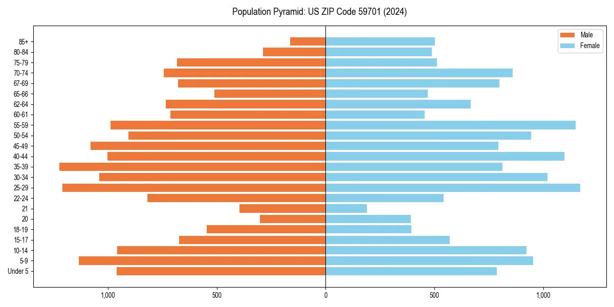 Population pyramid for 