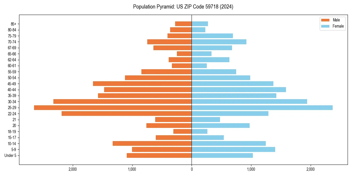 Population pyramid for 