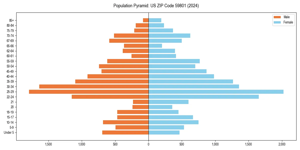 Population pyramid for 