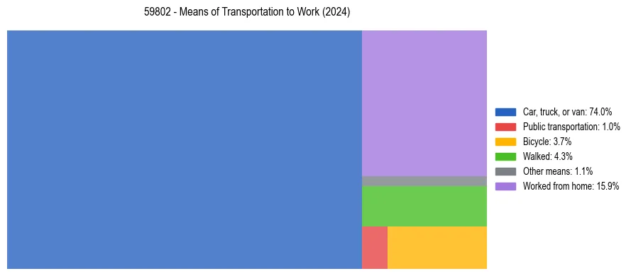 Commute modes in US ZIP Code 59802