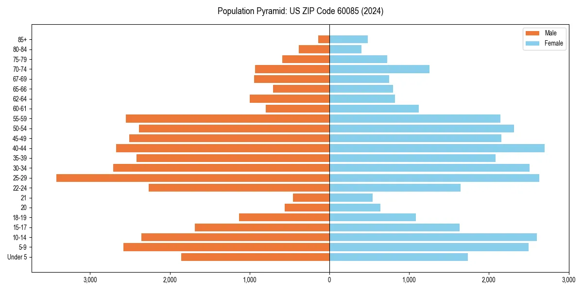 Population pyramid for 