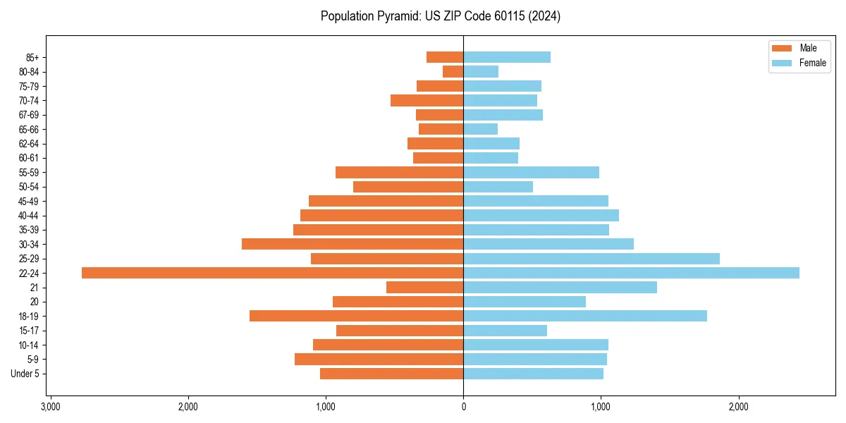 Population pyramid for 