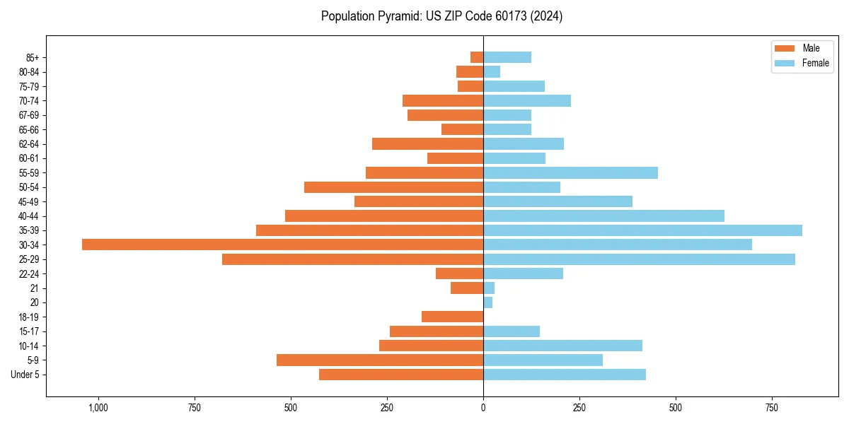 Population pyramid for