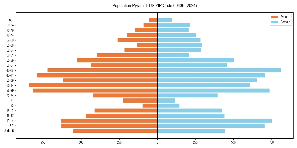 Population pyramid for 