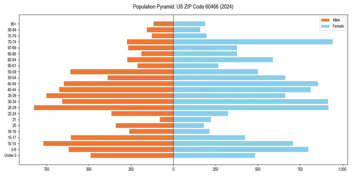 Population pyramid for 