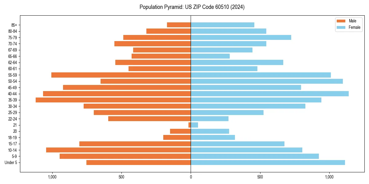 Population pyramid for 