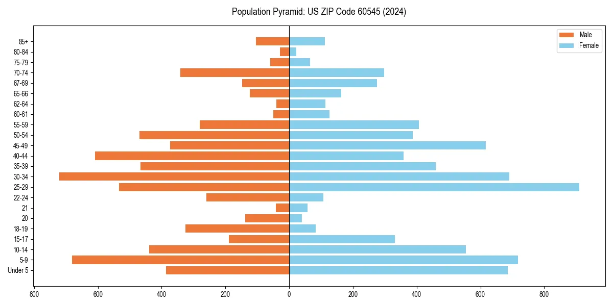 Population pyramid for 