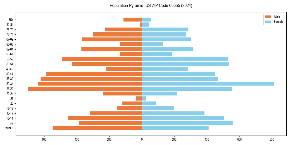 Population pyramid for 