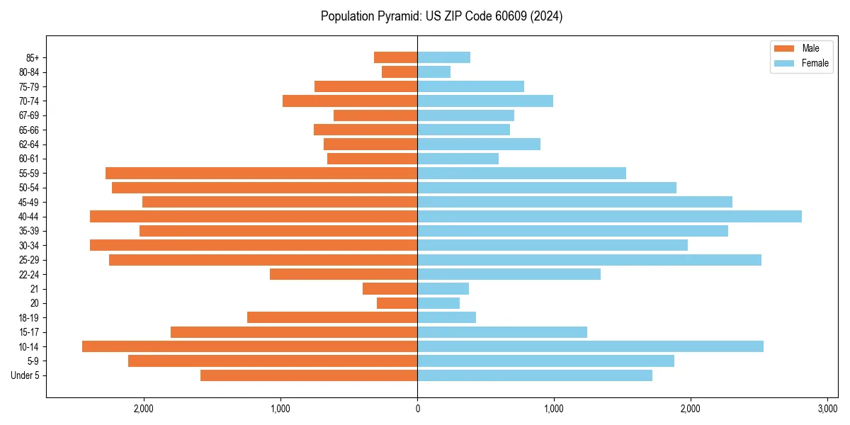 Population pyramid for 