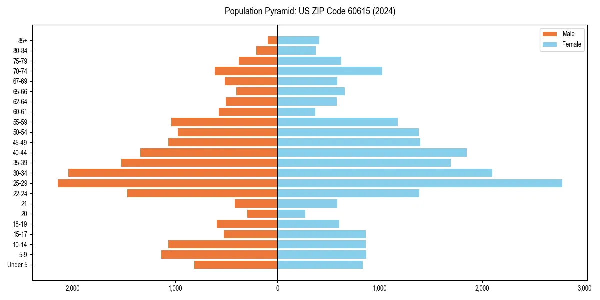 Population pyramid for 