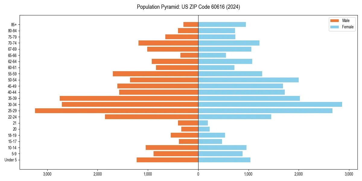 Population pyramid for 