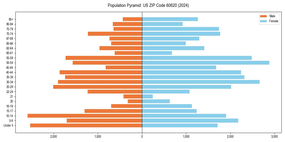 Population pyramid for 