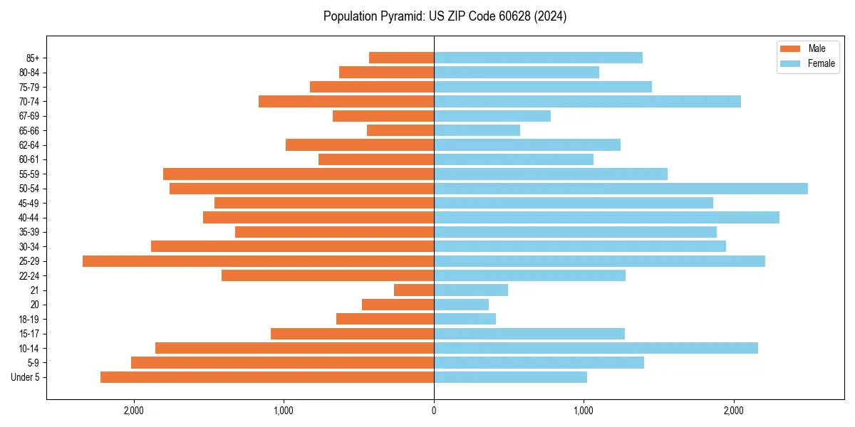 Population pyramid for 