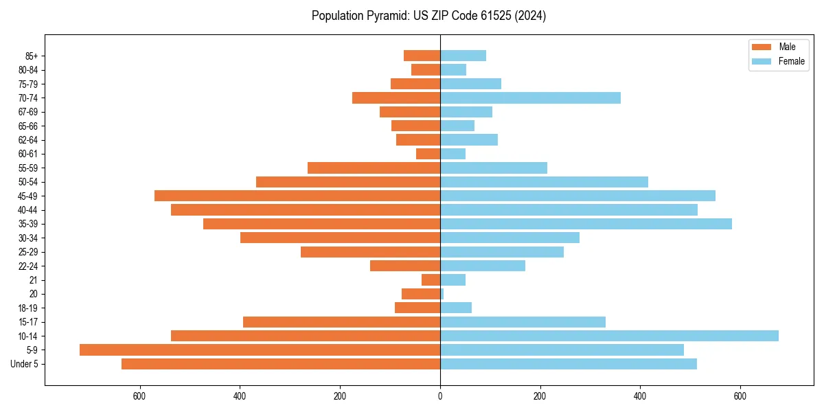 Population pyramid for 