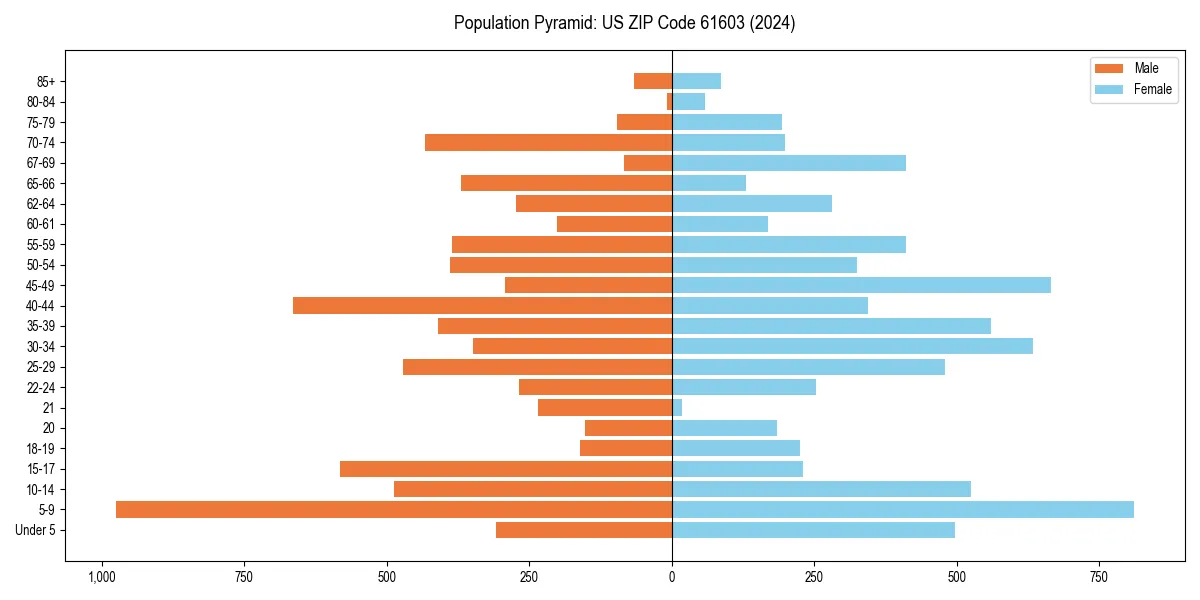 Population pyramid for 