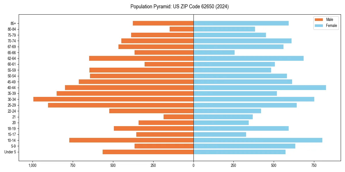 Population pyramid for 