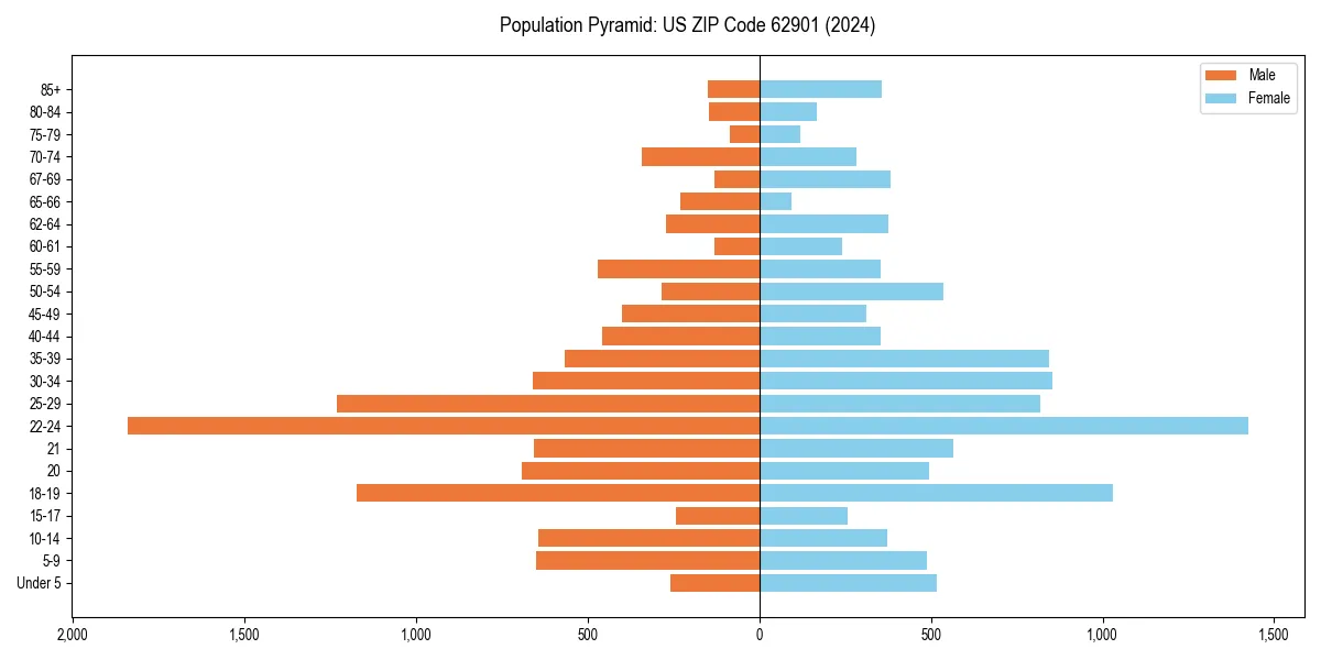 Population pyramid for 