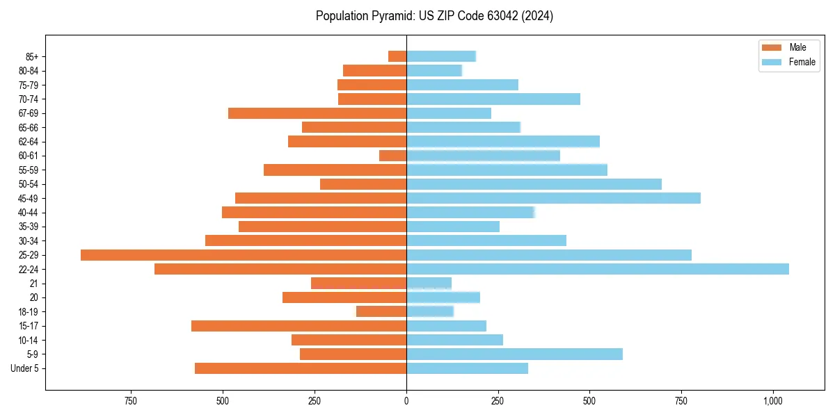 Population pyramid for 