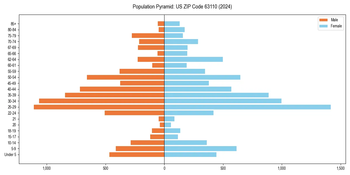 Population pyramid for 