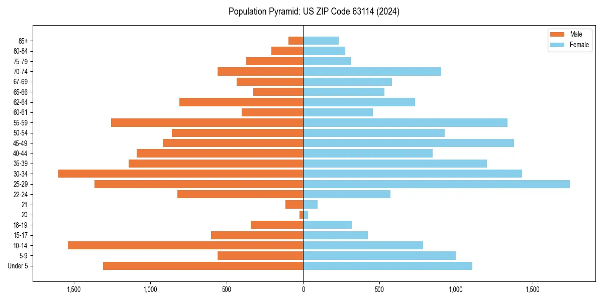 Population pyramid for 