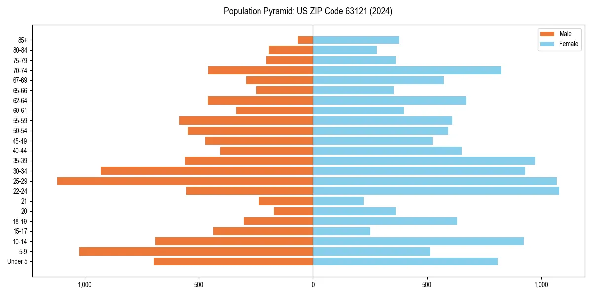 Population pyramid for 
