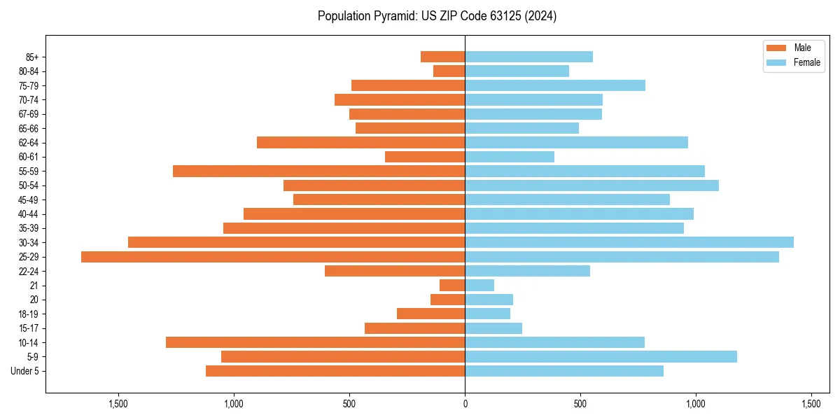 Population pyramid for 