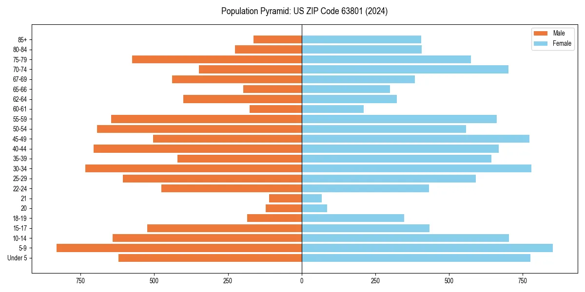 Population pyramid for 