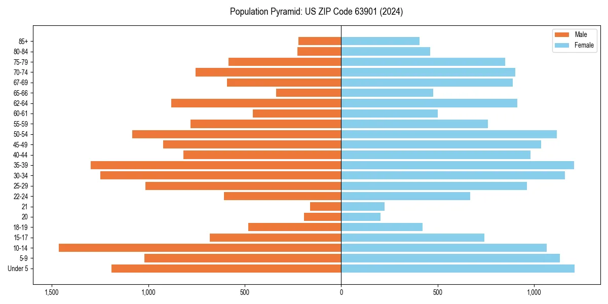 Population pyramid for 