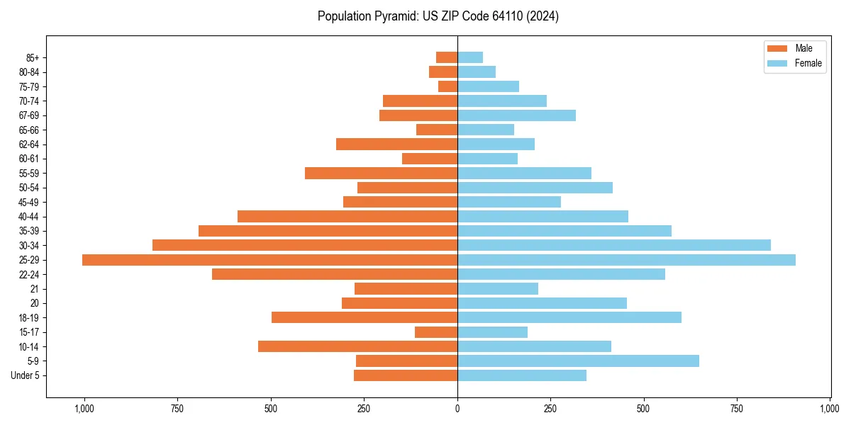 Population pyramid for 
