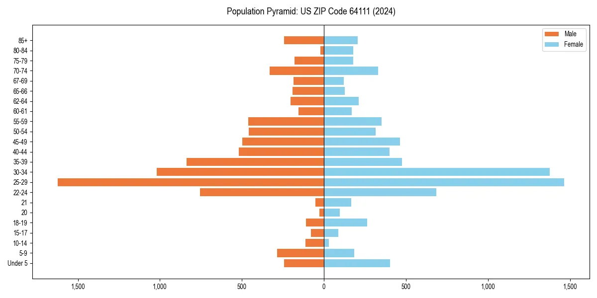 Population pyramid for 