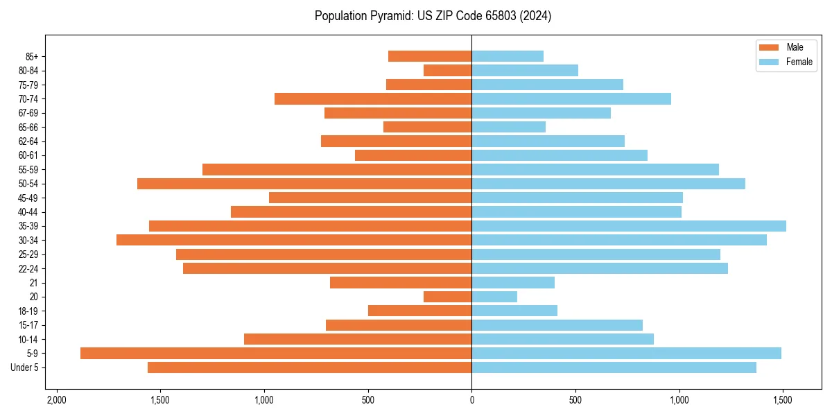 Population pyramid for 