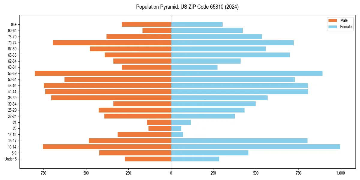 Population pyramid for 