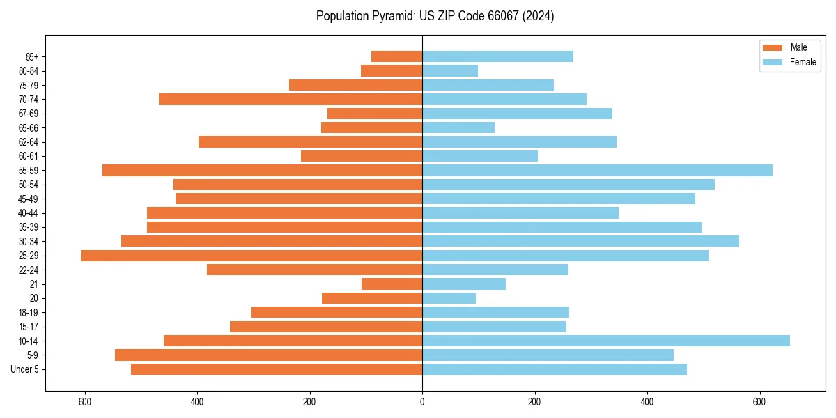 Population pyramid for 