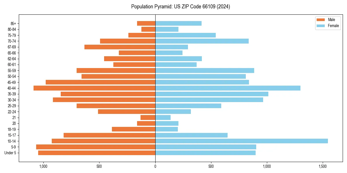Population pyramid for 
