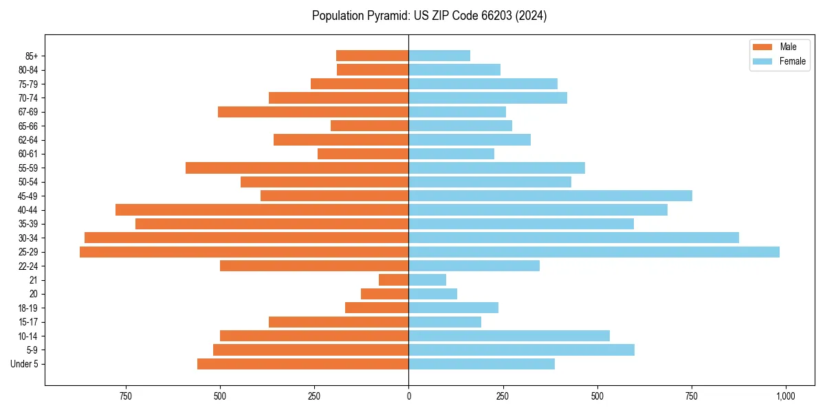 Population pyramid for 