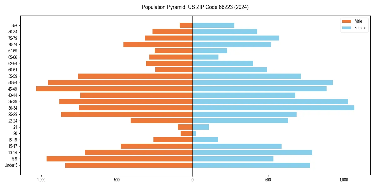 Population pyramid for 