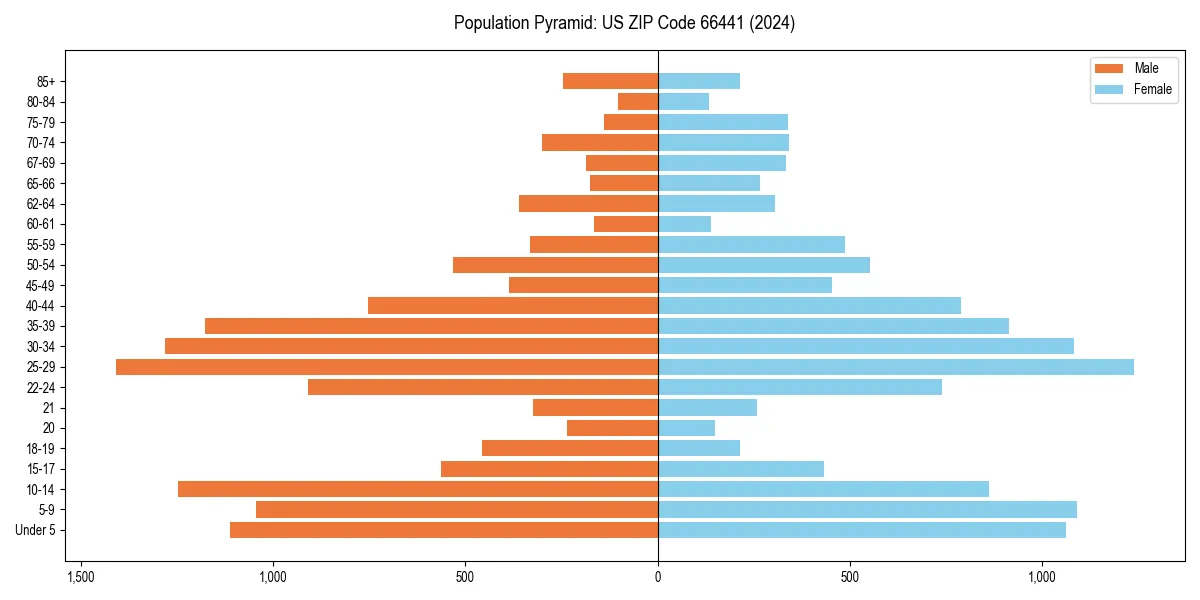 Population pyramid for 