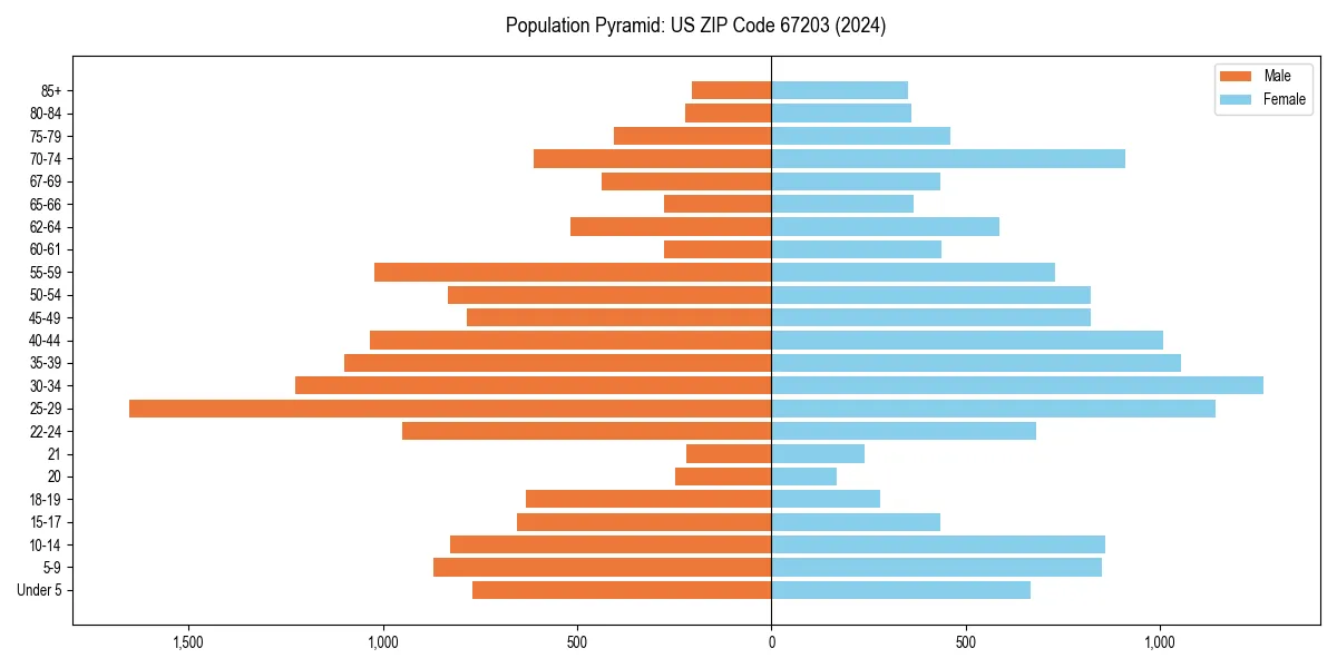 Population pyramid for 
